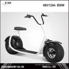 Citycoco Scrooser Style Big Wheel E City Scooter, Electric Motorcycle for Adult Electric Motorcycle Hot